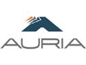 Automotive Flooring Supplier Auria Expanding Operations in SC