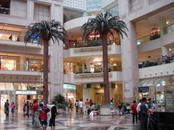Chain Store Off 0.5% Last Week