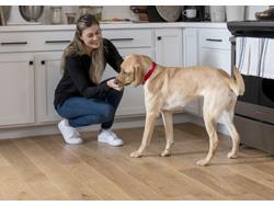 AHF Products Develops Double Density Hardwood Product AHF Products Develops Double Density Hardwood Product