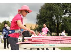 Mohawk Supports Susan G. Komen for 17th Year Mohawk Supports Susan G. Komen for 17th Year