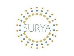 Surya Names VP of National Accounts