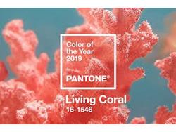 Pantone Names Living Coral Its 2019 Color of the Year Pantone Names Living Coral Its 2019 Color of the Year