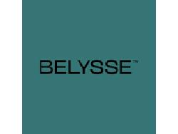 Belysse's Q3 Revenue Down 10.9% YOY, U.S. Revenue Down 11% Belysse's Q3 Revenue Down 10.9% YOY, U.S. Revenue Down 11%