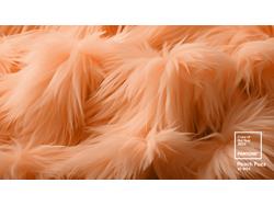 Pantone Names Peach Fuzz the 2024 Color of the Year Pantone Names Peach Fuzz the 2024 Color of the Year